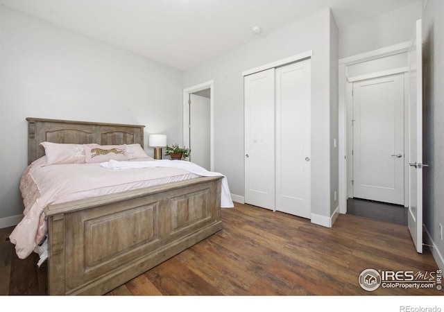 4843 Mariana Hills Cir, Loveland, CO 80537 - bedroom featuring dark wood finished floors, baseboards, and a closet