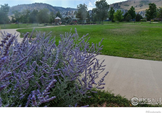 view of grassy yard with a mountain view