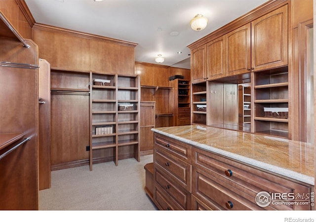 walk in closet with light colored carpet