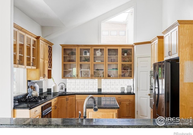 910 Kalmia Ave, Boulder, CO 80304 - kitchen with black appliances, tasteful backsplash, glass insert cabinets, dark stone countertops, and a sink