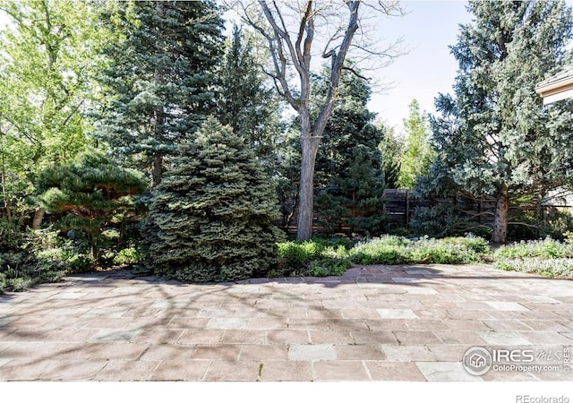 910 Kalmia Ave, Boulder, CO 80304 - view of patio / terrace