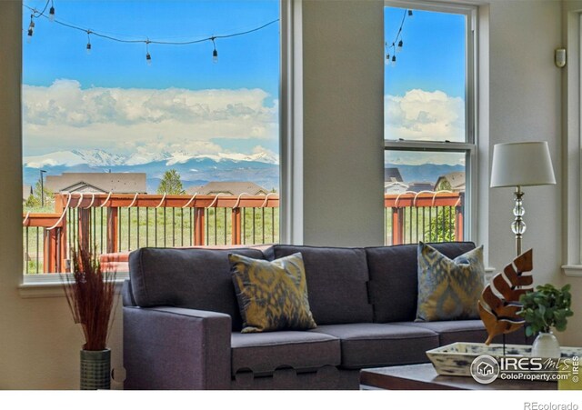 2290 Cottonwood Pl, Erie, CO 80516