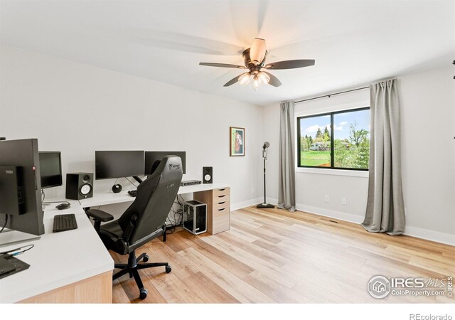 2017 Vaquero St, Longmont, CO 80504 - office featuring light wood-style flooring, ceiling fan, and baseboards