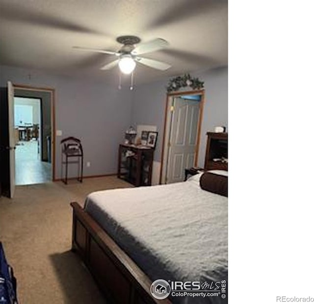 841 Dexter St, Wray, CO 80758 - photo 8
