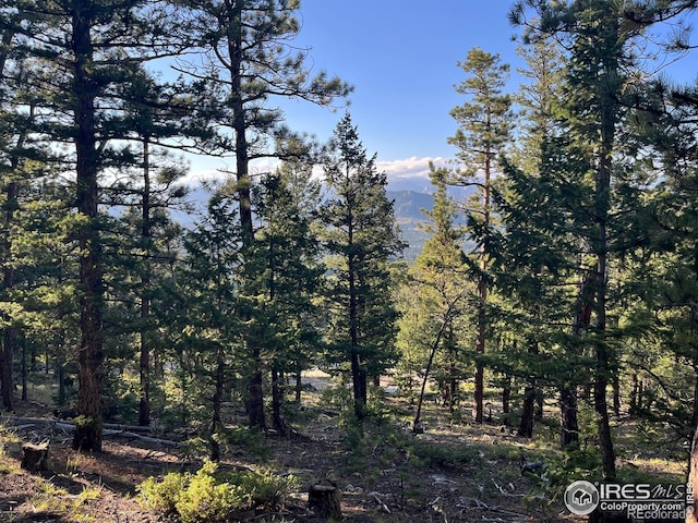 0 Moon Trailway, Estes Park, CO 80517