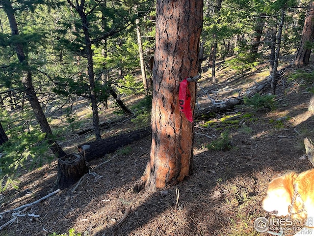 0 Moon Trailway, Estes Park, CO 80517