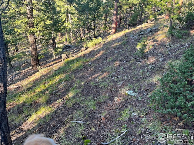 0 Moon Trailway, Estes Park, CO 80517
