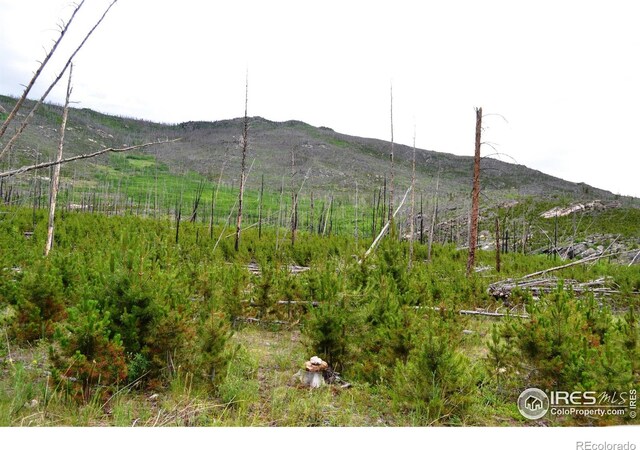 1256 Basking Dog Rd, Bellvue, CO 80512