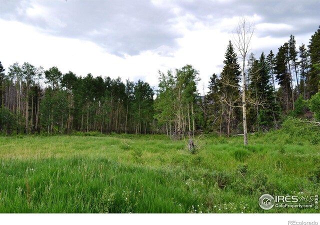 1256 Basking Dog Rd, Bellvue, CO 80512