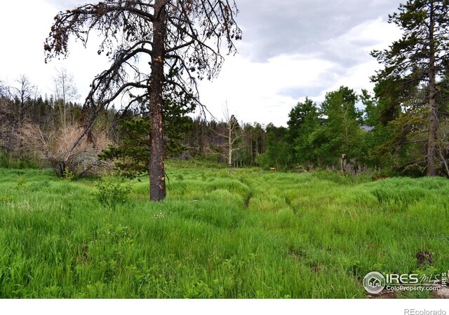 1256 Basking Dog Rd, Bellvue, CO 80512