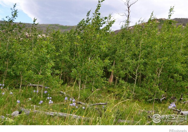 1256 Basking Dog Rd, Bellvue, CO 80512