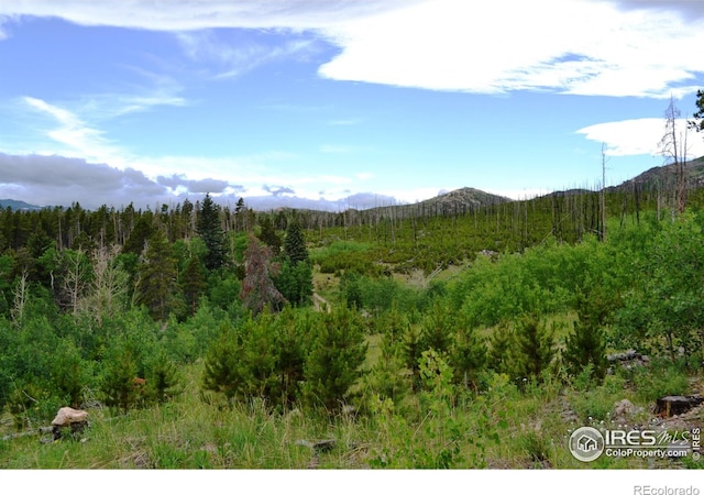1256 Basking Dog Rd, Bellvue, CO 80512