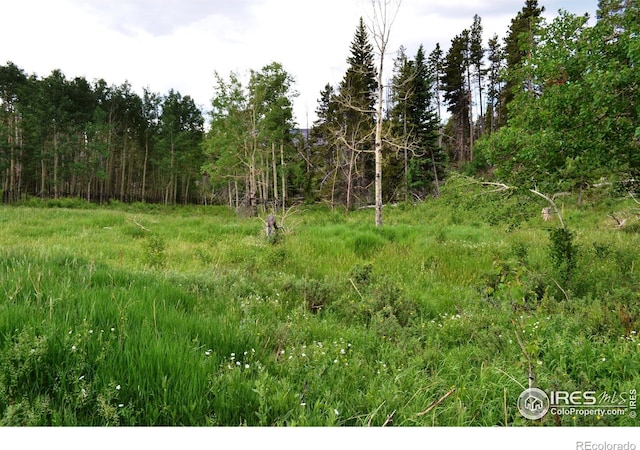 1256 Basking Dog Rd, Bellvue, CO 80512