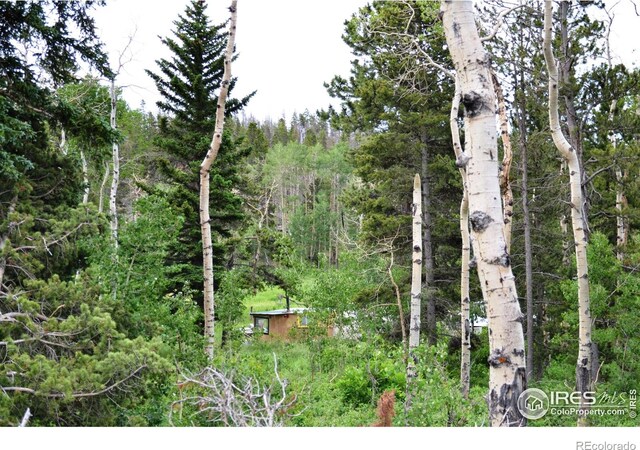 1256 Basking Dog Rd, Bellvue, CO 80512