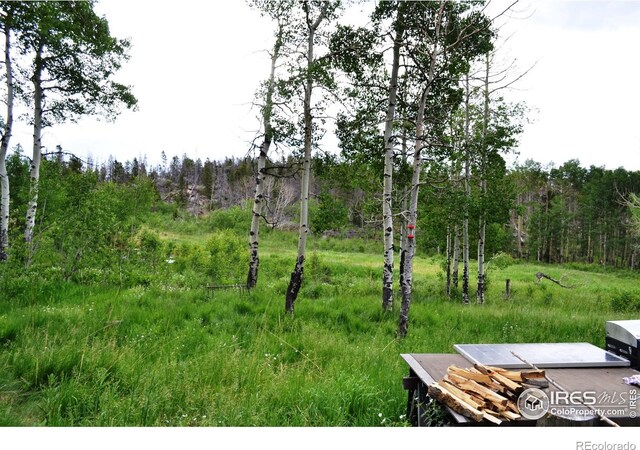 1256 Basking Dog Rd, Bellvue, CO 80512