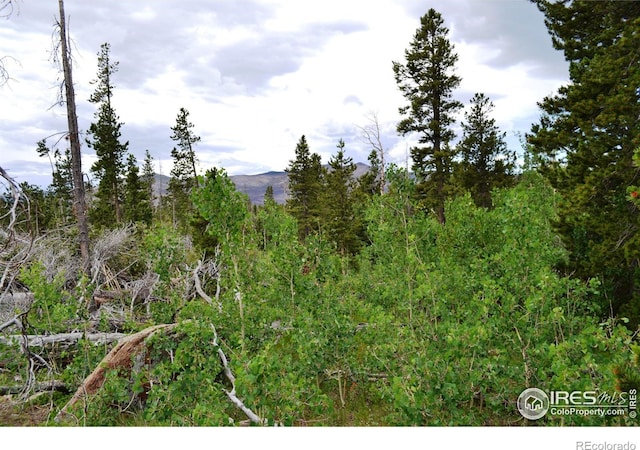 1256 Basking Dog Rd, Bellvue, CO 80512