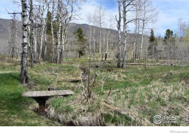 1256 Basking Dog Rd, Bellvue, CO 80512