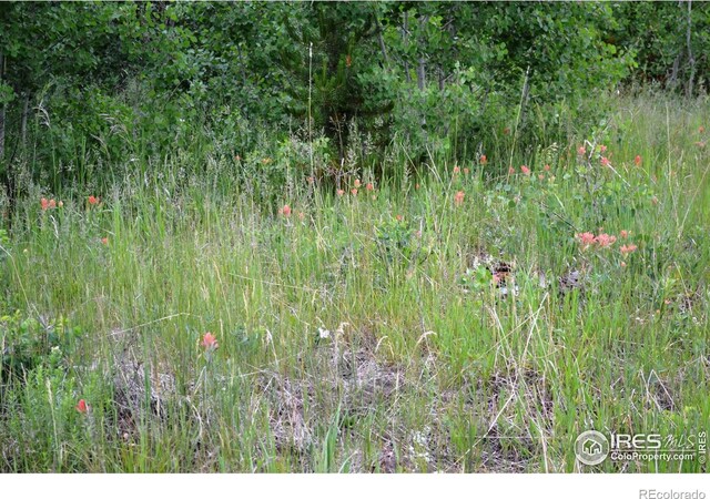 1256 Basking Dog Rd, Bellvue, CO 80512