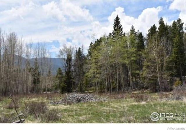 1256 Basking Dog Rd, Bellvue, CO 80512