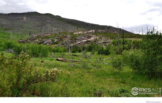 1256 Basking Dog Rd, Bellvue, CO 80512