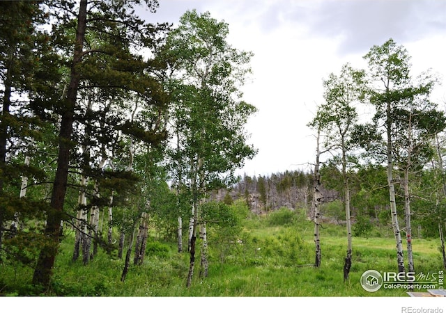 1256 Basking Dog Rd, Bellvue, CO 80512