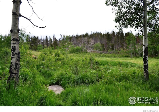1256 Basking Dog Rd, Bellvue, CO 80512