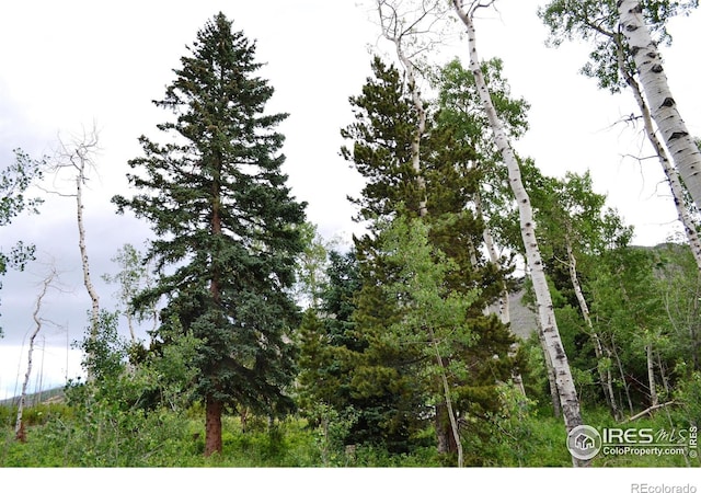 1256 Basking Dog Rd, Bellvue, CO 80512