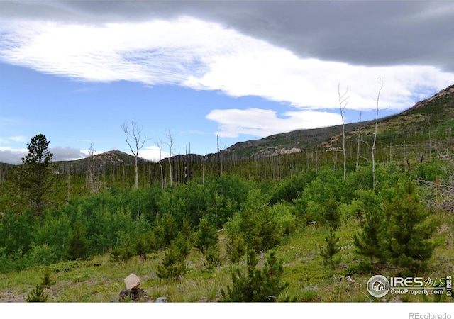 1256 Basking Dog Rd, Bellvue, CO 80512