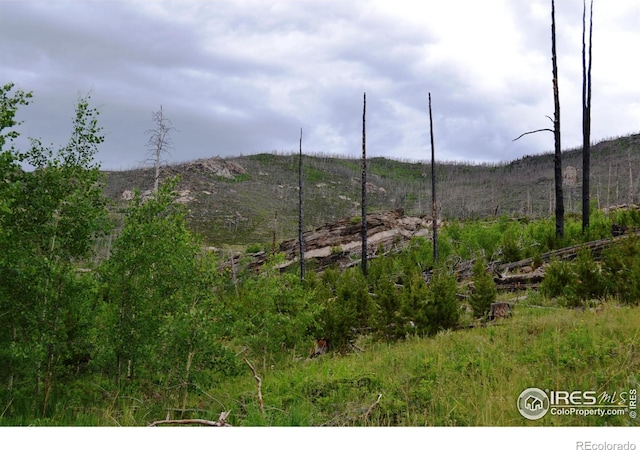1256 Basking Dog Rd, Bellvue, CO 80512
