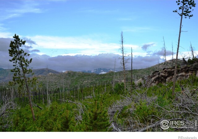 1256 Basking Dog Rd, Bellvue, CO 80512