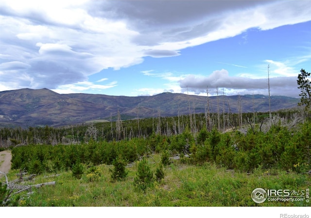 1256 Basking Dog Rd, Bellvue, CO 80512