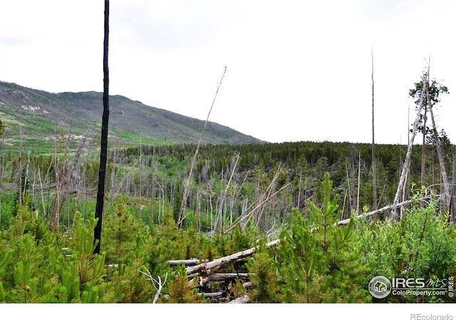 1256 Basking Dog Rd, Bellvue, CO 80512