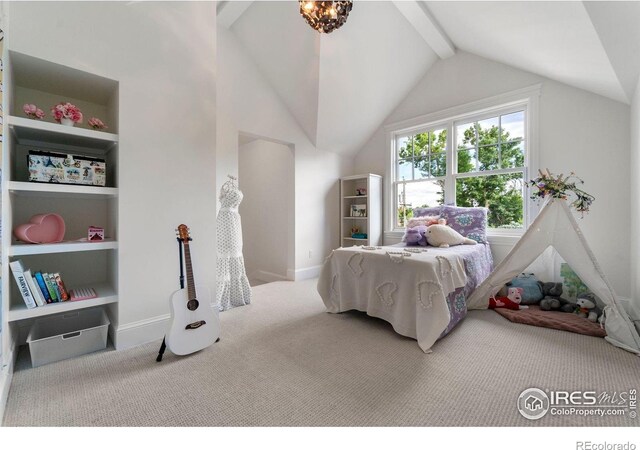 724 Johnson St, Louisville, CO 80027 - photo 28
