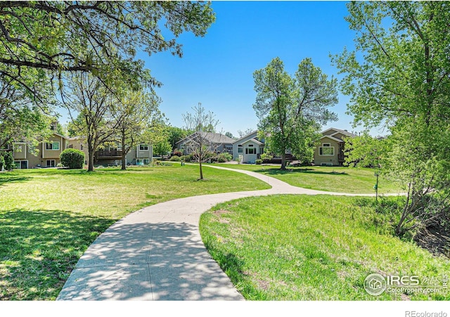 view of community with a lawn