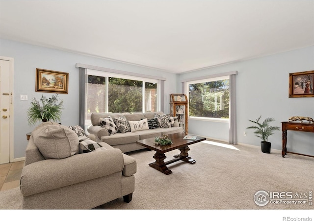 1005 48th Ave, Greeley, CO 80634 - photo 3