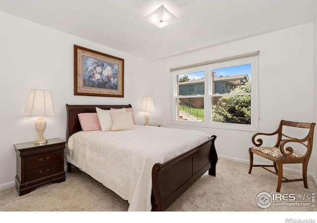 1005 48th Ave, Greeley, CO 80634 - photo 13