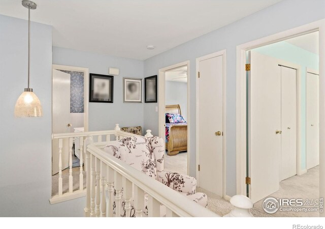 1005 48th Ave, Greeley, CO 80634 - photo 17