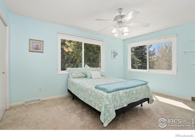 1005 48th Ave, Greeley, CO 80634 - photo 18