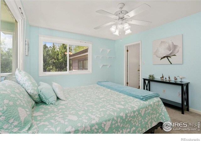 1005 48th Ave, Greeley, CO 80634 - photo 19