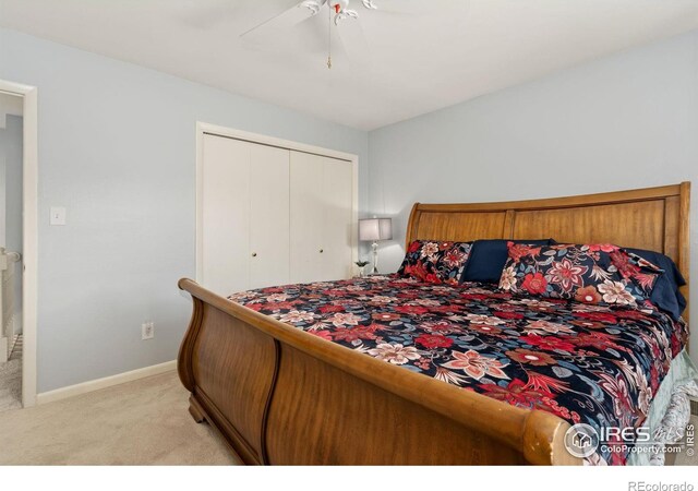 1005 48th Ave, Greeley, CO 80634 - photo 22