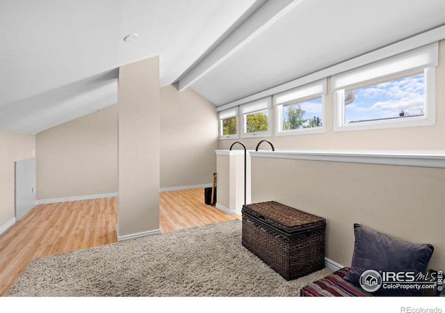 additional living space with wood finished floors and baseboards