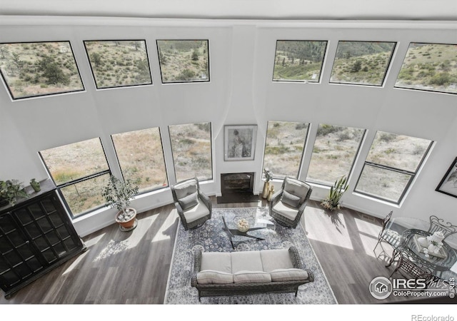 2118 Dry Creek Dr, Lyons, CO 80540 - living room with wood finished floors, healthy amount of natural light, a high ceiling, and a fireplace