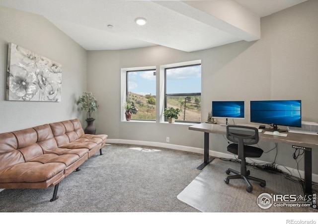 2118 Dry Creek Dr, Lyons, CO 80540 - carpeted office featuring baseboards