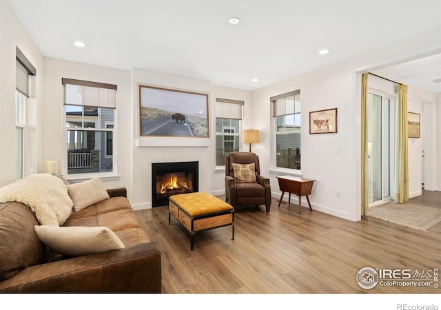 97 Westerly Blvd, Erie, CO 80516 - living area featuring wood finished floors, a glass covered fireplace, baseboards, and recessed lighting
