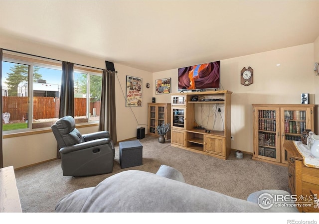 3949 Willowood Ave, Loveland, CO 80538 - living area featuring carpet and baseboards
