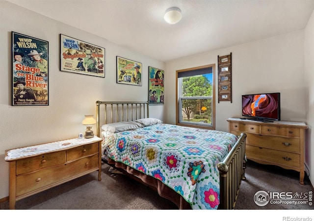 3949 Willowood Ave, Loveland, CO 80538 - bedroom featuring dark carpet