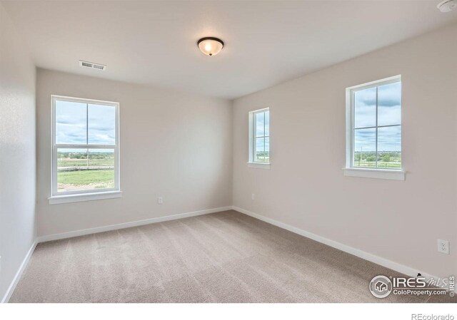 5901 Aspenglow St, Longmont, CO 80504 - photo 21