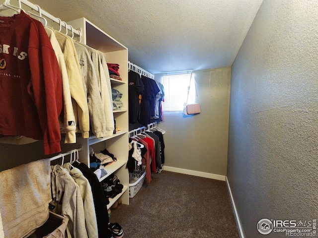 walk in closet with carpet