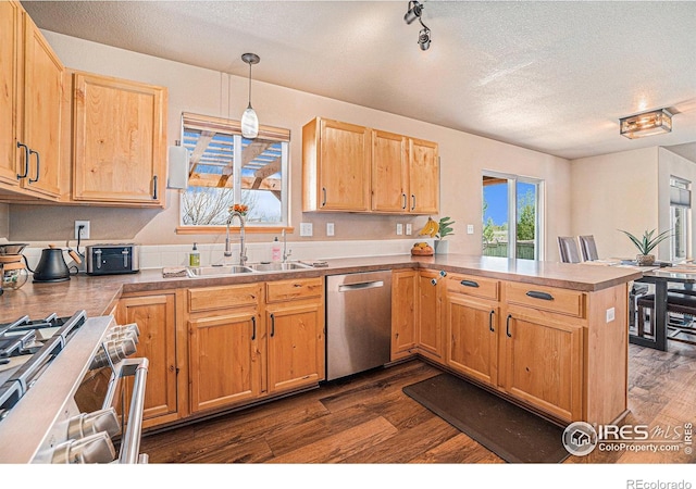 8962 Smoke Signal Way, Wellington, CO 80549 - kitchen featuring appliances with stainless steel finishes, a sink, a peninsula, dark wood-style floors, and a textured ceiling