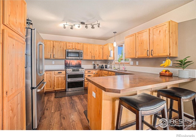 8962 Smoke Signal Way, Wellington, CO 80549 - kitchen featuring appliances with stainless steel finishes, a peninsula, dark wood-style flooring, a breakfast bar, and light brown cabinetry